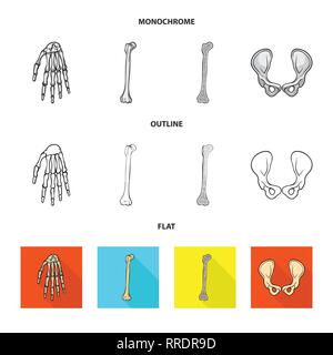 Handgelenk, Oberschenkel, Hüfte, Hand, gebrochen, Bony, gemeinsame, Kalzium, Fibel, Bein, Becken, Struktur, Schienbein, Knie, Chirurgie, arm, Schienbein, gesund, carpus, Bruch, Gesundheit, Ausrichtung, Xray, Schmerzen, Gelenke, Finger, Bewegung, Verletzungen, Medizin, Klinik, Biologie, Medizin, Knochen, Skelett, Anatomie, menschliche Organe, Set, Vector, Icon, Illustration, isoliert, Sammlung, Design, Element, Grafik, Vektor, Vektoren, Stock Vektor