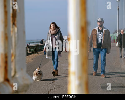 Spaziergang mit dem Hund entlang der Promenade Hove Stockfoto