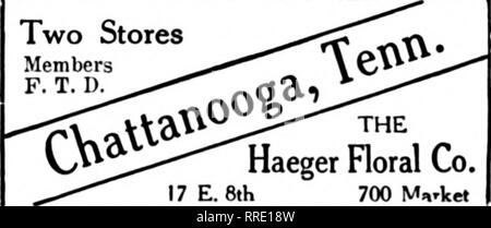 . Floristen Review [microform]. Blumenzucht. 1731 HAKFORD AVENUE Johns Hopkins Hospital Church Home und Krankenstation Hebräisch Krankenhaus Krankenhaus Md. Allgemeines Krankenhaus St. Joseph's Hospital St. Agnes' Krankenhaus ggjjD jjg Ihre SUBURBAN BESTELLUNGEN Geny Bros." "fS^ Mitglieder Floristen "Telegraph Lieferung 212 Fifth Avenue North NASHVILLE, Tenn. Charleston, S.C. Kunst Blumen Co 219 King Street, in der Nähe von Market Charleston, S.C., Carolina Floral Store König und George Sts. Gewächshäuser, Saxon, S. C. Die F. T. D. SPARTANBURG UND ALLE SÜDCAROLINA CHARLES A. MOSS die Floristen "Telegraph Lieferung Assn Stockfoto