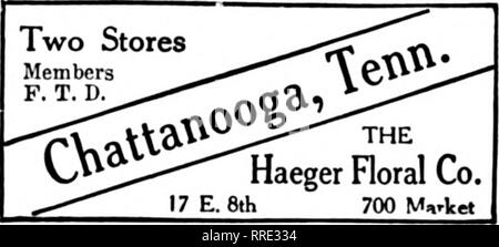 . Floristen Review [microform]. Blumenzucht. 1731 HAKFORD AVENUE Johns Hopkins Hospital Church Home und Krankenstation Hebräisch Krankenhaus Mercy Hospital St. Agnes' Krankenhaus Md. Allgemeines Krankenhaus St. Joseph's Hospital SENDEN SIE MIR IHRE SUBURBAN BESTELLUNGEN Geny Bros.'^7^^ Mitglieder Floristen "Telegraph Lieferung 212 Fifth Avenue North NASHVILLE, Tenn. Charleston, S.C. Kunst Blumen Co 219 King Street, in der Nähe von Market Charleston, S.C., Carolina Floral Store König und George Sts. Gewächshäuser. Sächsische, S.C. Mem F. T ber D. UND ALLE SPARTANBURG SOUTH CAROLINA CHARLES A. MOSS die Floristen "Telegraph Lieferung Assn. lieferbar ist e Stockfoto