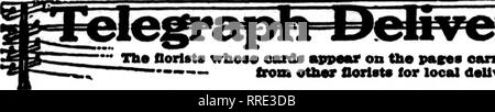 . Floristen Review [microform]. Blumenzucht. Mauch 17. 1921. Die Floristen^ Review 71. ^ lae Oorlats, die "Cards" msvmat am p "r" * earrytnc dieses bMkU mn piwparod Ut ffil otimtm" - - - von otbor Floristen für lokale nsnal doUvcrr auf der Grundlage. Bitte beachten Sie, dass diese Bilder sind von der gescannten Seite Bilder, die digital für die Lesbarkeit verbessert haben mögen - Färbung und Aussehen dieser Abbildungen können nicht perfekt dem Original ähneln. extrahiert. Chicago: Floristen Pub. Co Stockfoto