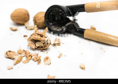 Nussknacker, Walnut Kernels geschält und ganze Nußschalen, auf einem weißen Hintergrund. Trockenfrüchte Stockfoto