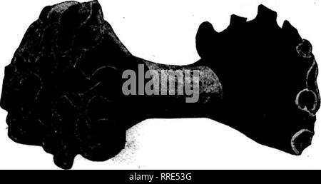 . Floristen Review [microform]. Blumenzucht. Für ST. PATRICK'S DAY. Nelke Farbstoff-, 50 c-Paket. Grüne UVA, $ 5,00 pro Doz. Grüne PAMPA, $ 12,50 pro Doz. Papier Neuheit, mit Cups für Blumen, $ 12,50 pro 100. Hohe Hüte, Körbe, 50 c Jeder.. Pflanzkörbe, Sortimente bei $ 10,00 $ 25,00 $ 50,00 $ 100,00. Schnittblume Körbe, Sortimente bei $ 10.00, $ 25, $ 50,00. $ 100,00. Dies ist ein spezielles Sortiment. Garn, Spezielle, Nr.023, sehr stark, kommt in^-lbs-Rohre. Twineonly, Schieber nicht gewogen. Drei Pfund zu verpacken. Spezielle, $ 1,00. Gewellte Rand Krepp-papier, gewellt auf bolh Seiten^ nicht Kombi Farbe Stockfoto