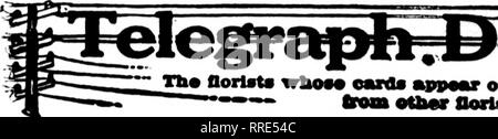 . Floristen Review [microform]. Blumenzucht. 120 Die Floristen Review Mabch 10, 1921. JlfCortoto wlkOM oarda appMW am p "c" s eMrrylnK Kopf füllt. **' ftvm oCb "r Oortsto für lokale doUTwry oa lb* nmial. Bitte beachten Sie, dass diese Bilder sind von der gescannten Seite Bilder, die digital für die Lesbarkeit verbessert haben mögen - Färbung und Aussehen dieser Abbildungen können nicht perfekt dem Original ähneln. extrahiert. Chicago: Floristen Pub. Co Stockfoto