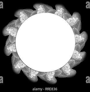 Monochrome Rosen hinter frame schwarzen Hintergrund durch jziprian Stockfoto