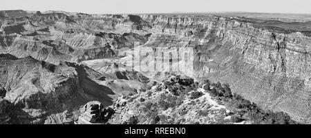 Schwarz und Weiß - Panoramabild des Grand Canyon, Arizona, USA. Stockfoto