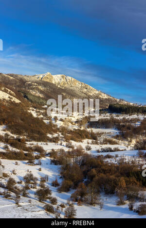 Fernen schneebedeckten felsigen Gipfel und bunten Wald im Winter Wunderland unter blauen Himmel Stockfoto