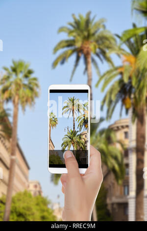 Ein Mann macht ein Foto von Palmen in den Straßen von Rom, Italien, und auf einem Mobiltelefon Stockfoto