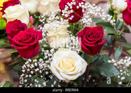 Blumenstrauß aus roten und weißen Rosen Stockfoto