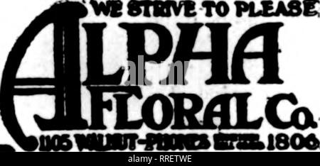 . Floristen Review [microform]. Blumenzucht. Blumen Unternehmen 225.000 Fuß aus Glas Mitglieder Floristen * Telegraph Lieferung Verband Samuel Murray KANSAS CITY, MO. 1017 GRAND AVE. Mitglied der Floristen "Telegraph Lieferung Verband Sedalia, Missouri State" werden Sie nicht Fair stammeln, wenn Sie es mit unseren Blumen sagen "FLORISTEN "Telegraph Lieferung. Florale Co.ST. JOSEPH, MO. QUENTIN FLORAL CO. Aufträge für * Iowa, Nebraska. Kansas und Missouri dications wird er haben ausgezeichnete Carna- und MOM-Kulturen. Joseph Cannon, Manager des Heepe Co., Akron, O., auf einigen seiner Freunde im tr bezeichnet Stockfoto