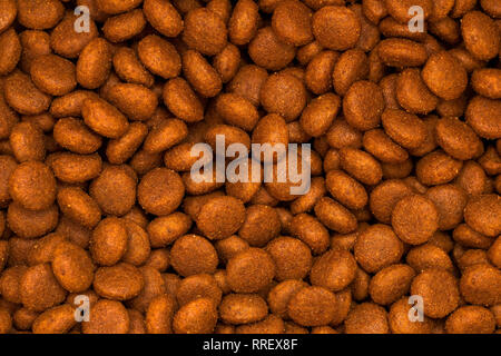 Pet kibbles Close-up. Hund und Katze Trockenfutter Stockfoto