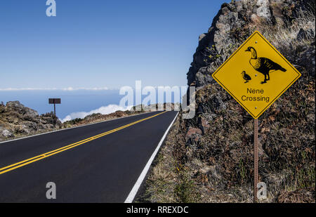 Seltene Vogel Kreuzung Anmelden: ein Schild warnt Maui Autofahrer Alert für Nene (Branta sandvicensis, Hawaiian goose), von Hawaii State bird gefährdet zu sein. Stockfoto