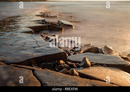 Kimmeridge Leiste bei Ebbe bei Kimmeridge Bay Dorset England ausgesetzt Stockfoto