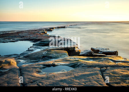 Kimmeridge Leiste bei Ebbe bei Kimmeridge Bay Dorset England ausgesetzt Stockfoto