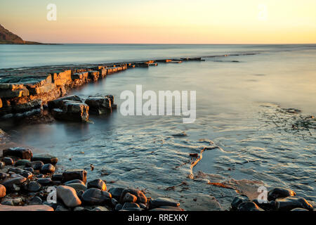 Kimmeridge Leiste bei Ebbe bei Kimmeridge Bay Dorset England ausgesetzt Stockfoto