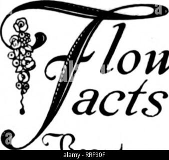 . Floristen Review [microform]. Blumenzucht. Erwähnen Sie die Rerlew wenn Yon. Schreiben. ower "J-J rojTts Jeautu erhalten Versicherte - verwenden Sie yloekler Jefriaerators hr Cut ftowers Bernard Glocklor Co. Pittsburgh. Pa r sJJ Jwaya der Erwähnung Florist,, 'Review wenn WTitlnc Inserenten.. Bitte beachten Sie, dass diese Bilder sind von der gescannten Seite Bilder, die digital für die Lesbarkeit verbessert haben mögen - Färbung und Aussehen dieser Abbildungen können nicht perfekt dem Original ähneln. extrahiert. Chicago: Floristen Pub. Co Stockfoto