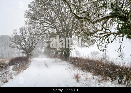 Schneebedeckte Landstraße nahe Eastleach im Februar. Eastleach, Cotswolds, Gloucestershire, England Stockfoto