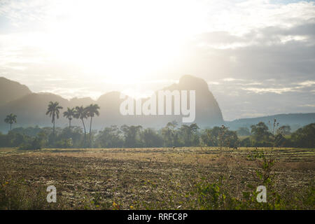 Malerische Aussicht auf Landschaft Route zwischen Wiese in der Nähe der Bäume und Felsen mit blauem Himmel, Wolken und Sonnenschein in Kuba Stockfoto