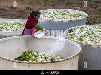 Chongqing, Chongqing, China. 25 Feb, 2019. Chongqing, China - Bauern Prozess gesalzene Gemüse im Südwesten ChinaÃ¢â'¬â"¢s Chongqing Credit: SIPA Asien/ZUMA Draht/Alamy leben Nachrichten Stockfoto