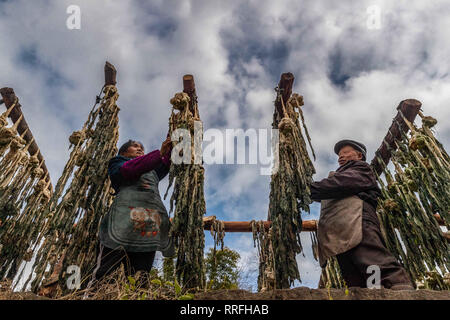 Chongqing, Chongqing, China. 25 Feb, 2019. Chongqing, China - Bauern Prozess gesalzene Gemüse im Südwesten ChinaÃ¢â'¬â"¢s Chongqing Credit: SIPA Asien/ZUMA Draht/Alamy leben Nachrichten Stockfoto