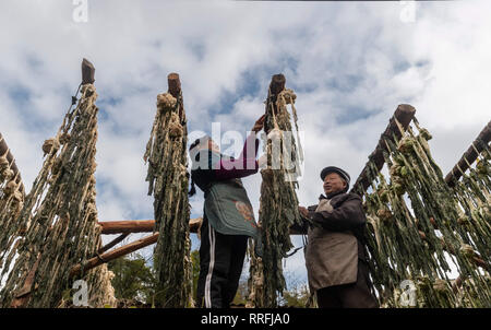 Chongqing, Chongqing, China. 25 Feb, 2019. Chongqing, China - Bauern Prozess gesalzene Gemüse im Südwesten ChinaÃ¢â'¬â"¢s Chongqing Credit: SIPA Asien/ZUMA Draht/Alamy leben Nachrichten Stockfoto