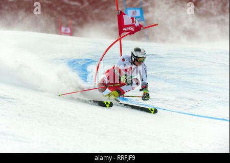 Bansko, Bulgarien. 24. Feb 2019. Stefan Brennsteiner (AUT) konkurrieren in Audi FIS Alpine Ski World Cup Männer Riesenslalom am 24. Februar 2019 in Bansko, Bulgarien. Credit: Borislav Stefanov/Alamy leben Nachrichten Stockfoto