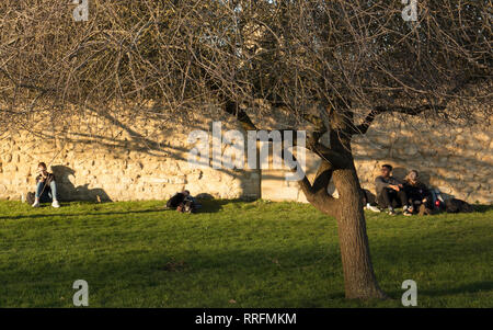 Oxford, UK. 25. Februar, 2019. Die Studenten genießen die späte Nachmittagssonne auf dem Rasen gegen ein Erbe Wand in Oxford, Großbritannien, an diesem warmen Frühling wie Winter Tag im Februar. Credit: Joe Kuis/Alamy leben Nachrichten Stockfoto