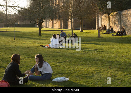 Oxford, UK. 25. Februar, 2019. Die Studenten genießen die späte Nachmittagssonne auf dem Rasen und gegen ein Erbe Wand in Oxford, Großbritannien, an diesem warmen Frühling wie Winter Tag im Februar. Credit: Joe Kuis/Alamy leben Nachrichten Stockfoto