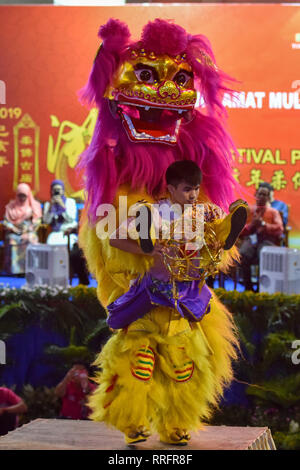 Johor Bahru, Malaysia. 25 Feb, 2019. Menschen führen Tanz Löwe während der Nacht Chingay Parade in Johor Bahru, Malaysia, Feb 25, 2019. Lokale Chinesische in Johor Bahru halten Sie die jährliche Tradition der Chinesischen neue Jahr und Wünschen für Frieden und Wohlstand mit den Höhepunkt der Nacht Chingay Parade zu feiern, als Gottheiten sind rund um die wichtigsten Straßen von Johor Bahru durch Prozession beigetreten, einschließlich Hin- und Herbewegungen, Löwen und Drachen Tänzer durchgeführt. Credit: Chong Voon Chung/Xinhua/Alamy leben Nachrichten Stockfoto