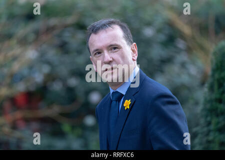 London, Großbritannien. 26. Februar 2019, Alun Cairns, Staatssekretär für Wales, kommt an einer Kabinettssitzung in Downing Street 10, London, UK. Credit: Ian Davidson/Alamy leben Nachrichten Stockfoto