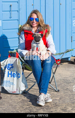 Bournemouth, Dorset, Großbritannien. 26 Feb, 2019. UK Wetter: warmes Wetter fährt mit einem anderen schönen warmen sonnigen Tag in Bournemouth wie Besucher die Sonne am Meer genießen, erwartet der heisseste Tag des Jahres zu sein und den heißesten Februar Tag überhaupt. Bournemouth strand ist der beste Strand in Großbritannien gewählt. Maximus der Mops Welpen genießt den Sonnenschein auf der Frau schoß bei Beach Hut sitzen. Credit: Carolyn Jenkins/Alamy leben Nachrichten Stockfoto