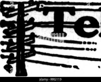 . Floristen Review [microform]. Blumenzucht. 94 Die Floristen^ Review Januaby 20, 1921. Bitte beachten Sie, dass diese Bilder sind von der gescannten Seite Bilder, die digital für die Lesbarkeit verbessert haben mögen - Färbung und Aussehen dieser Abbildungen können nicht perfekt dem Original ähneln. extrahiert. Chicago: Floristen Pub. Co Stockfoto