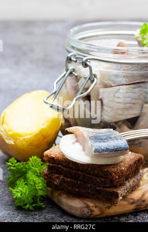 Hausgemachte marinierte Hering in Glas Glas mit Roggenbrot und Jacke Kartoffel auf Graue Tabelle Stockfoto