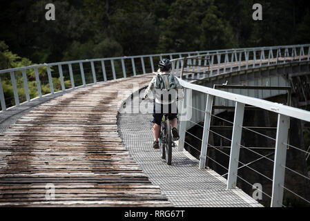 Bike Tour auf der Spur, Oamaru, North Island, Neuseeland. Stockfoto