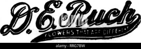 . Floristen Review [microform]. Blumenzucht. NEW ORLEANS, LA. CHAS. EBLE ÄLTESTE FLORIST SÜDEN 121 Baronne Street Mitglied Floristen Telesraph Lieferung. iIX) UISIANA - TEXAS - AREANSAI SHREVEPORT. LA. U. J. JUNGFRAU 838 Canal St., NEW ORLEANS, LA.. Bitte beachten Sie, dass diese Bilder sind von der gescannten Seite Bilder, die digital für die Lesbarkeit verbessert haben mögen - Färbung und Aussehen dieser Abbildungen können nicht perfekt dem Original ähneln. extrahiert. Chicago: Floristen Pub. Co Stockfoto