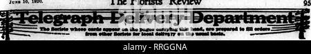 . Floristen Review [microform]. Blumenzucht. Jo KB 10, 1920. Die Floristen^ überprüfen. Bitte beachten Sie, dass diese Bilder sind von der gescannten Seite Bilder, die digital für die Lesbarkeit verbessert haben mögen - Färbung und Aussehen dieser Abbildungen können nicht perfekt dem Original ähneln. extrahiert. Chicago: Floristen Pub. Co Stockfoto
