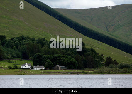 Tourismus: Loch of the Lowes, Scottish Borders, Schottland, Großbritannien Stockfoto