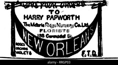 . Floristen Review [microform]. Blumenzucht. AVENUE. U. J. JUNGFRAU 838 Canal St., NEW ORLEANS, LA. BATON ROUGE, LA. Das ROSELAND FLORIST F. T. D. ALEXANDRIA, LA. E.BLUM &Amp; Sohn für alle Punkte, die in zentralen LouisianK * NEW ORLEANS DER V. T. D.. Bitte beachten Sie, dass diese Bilder sind von der gescannten Seite Bilder, die digital für die Lesbarkeit verbessert haben mögen - Färbung und Aussehen dieser Abbildungen können nicht perfekt dem Original ähneln. extrahiert. Chicago: Floristen Pub. Co Stockfoto