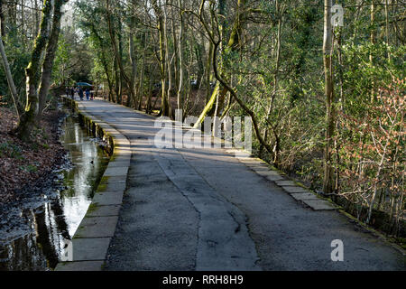 Ein Spaziergang durch die Natur in der Porter Tal, Sheffield, South Yorkshire Stockfoto