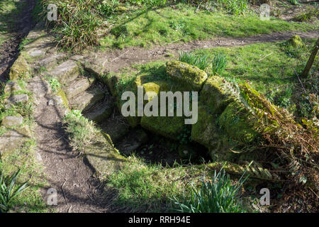 Die Treppe zur Kapelle Euny gut, in der Nähe von Carn Euny Alte Dorf, Sancreed, West Cornwall GROSSBRITANNIEN Stockfoto