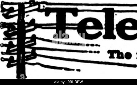 . Floristen Review [microform]. Blumenzucht. Fbbbuabt 8, 1921 Die Rorists^ überprüfen. 'Th", deren Oorlsto eards mypmr auf Tho p "ko" eanytnc lliis hmmA, tun proparod zu füllen ord (-- von ofhor Gulden für lokale doUvMT auf tlio naoal basts.. Bitte beachten Sie, dass diese Bilder sind von der gescannten Seite Bilder, die digital für die Lesbarkeit verbessert haben mögen - Färbung und Aussehen dieser Abbildungen können nicht perfekt dem Original ähneln. extrahiert. Chicago: Floristen Pub. Co Stockfoto
