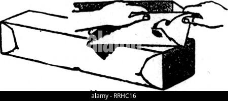 . Floristen Review [microform]. Blumenzucht. Septbmbeb 23, 1920 Die Rorists"^ Review 47 UNDLEY BOXEN Hochwertige, Schwere, gründlich Feuchtigkeit eines 4-Sterne-Hauses. Feuchtigkeit eines 4-Sterne-Hauses Karton ist schwer zu bekommen und die Eisenbahn nicht zeitnah liefern. Halten Sie ihre Lager bestellt gut vor ihren Anforderungen. In Ordnung - ing immer angeben, ob "S" oder "A A" Grad gewünscht wird. STANDARD- oder "S"-Klasse gut gemacht von standard Gewicht, gut Feuchtigkeit eines 4-Sterne-Hauses. Preise angemessen, wenn man bedenkt: Qualität und Verarbeitung.. Comer Lock st. vie Grau und Violett Corsage Boxen aus hoch Stockfoto