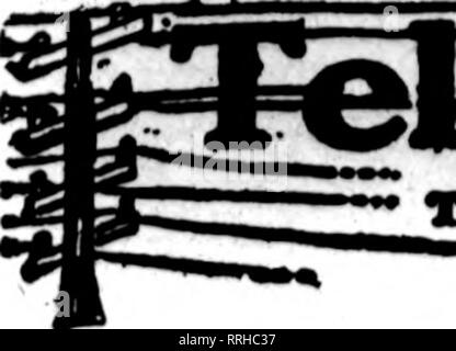 . Floristen Review [microform]. Blumenzucht. Januaby 6, 1921 Der Floristen Überprüfung 95. egfeqpti epeHfte Uclivciyr ^^ Th" flortf Wem esrtf* avpaar os Th "Pace* eairyliiK thlm h "ad" ar* | ir" p "r" d bis Ord "Ni**" - von odaor ilortoto für loeal dellvoiT auf der Nmal baol*.. Bitte beachten Sie, dass diese Bilder sind von der gescannten Seite Bilder, die digital für die Lesbarkeit verbessert haben mögen - Färbung und Aussehen dieser Abbildungen können nicht perfekt dem Original ähneln. extrahiert. Chicago: Floristen Pub. Co Stockfoto