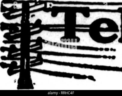 . Floristen Review [microform]. Blumenzucht. 90 Die Floristen Review Januar 6, 1921. Th" Oortstt wboce eaMs avpaar ea Th "vm-eanrrlnr Fhl* hma, '^frr^ Arom otbar nortoto für looal tf "UT" rjr oa-TB* osval. Bitte beachten Sie, dass diese Bilder sind von der gescannten Seite Bilder, die digital für die Lesbarkeit verbessert haben mögen - Färbung und Aussehen dieser Abbildungen können nicht perfekt dem Original ähneln. extrahiert. Chicago: Floristen Pub. Co Stockfoto