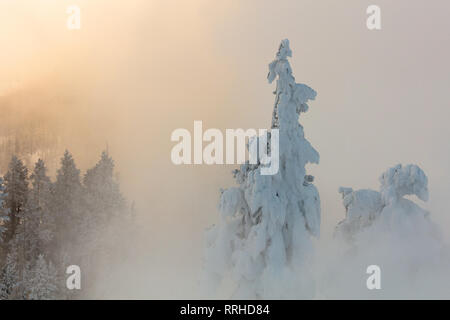 Die Sonne über eine gefrorene Landschaft in der Nähe von Beryl Frühling Februar 19, 2019 im Yellowstone National Park, Wyoming. Stockfoto