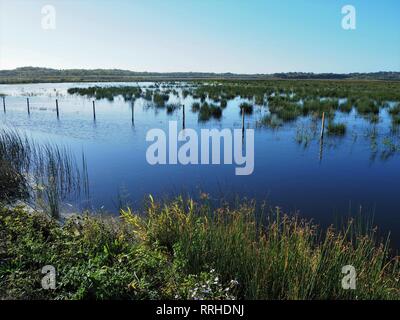 Blick über die offenen Feuchtgebiete an St. Aidan's Naturpark RSPB Reservat in der Nähe von Leeds, West Yorkshire, England Stockfoto