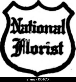 . Floristen Review [microform]. Blumenzucht. CUDE BROS. CO. Floristen 1214 F3T NW WASHINGTON, D.C.'S GUDE Mitglieder FlorlBts "Telegraph Lieferung RICHMOND, VA. Die Hammond Company, Inc. führender Floristen 109 EAST BROAD STREET Lynchburg, Virginia Auto und Express Service zu allen Punkten in Virginia Miss McCarron Mitglied Floristen "Telegraph Lieferung. NORFOLK, VA. GRANDY der FLORIST Aufträgen geliefert auch FORTRESS MONROE, VA. Uember Floristen "Telegraph Lieferung Association NASHVILLE IN TENNESSEE FREUDE M*" Knollen der Floristen Telegranh Lieferung Ass'n.. Bitte beachten Sie, dass diese Bilder aus extrahiert werden Stockfoto