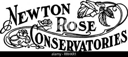 . Floristen Review [microform]. Blumenzucht. r Newton, Massachusetts R.C.BRIDGHAM, PROPRICTOn 329 KRONSTORF AVE. Kronstorf, Masse. I. in Newton, KRONSTORF. WEST NEWTON. AUBURNDALE. NEWTON SENKEN UND UPPBR FÄLLT, Newton Hochland. NEWTON CENTER. WABAN. RIVERSIDE, Brust - MUTTER HILL - ALLE OBEN IN DER STADT VON NEWTON. Auch die Lieferung in Waltham. WATERTOWN. NEEDHAM. BROOKLINE, Cambridge und Santa Monica. WELLESLEY COLLEGE LASELL SEMINAR UND MT. IDA SCHULE. Die FLORISTEN "TELEGRAPH LIEFERUNG ASSOCIATION. SALT LAKE FÜHRENDEN BLUMENGESCHÄFT ERNEST LAMBOURNE 67 South Main, Salt Lake City, Utah. Creech, TARBORa n. c. Stockfoto