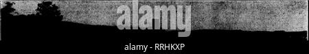 . Floristen Review [microform]. Blumenzucht. ^W'r '^9''""" T*5 - "OcTOBSB 25, 1917. Die Rorists 'Review 19. aXmrm "tmt^'.&amp; iikt.^j .. • "Y^l ";". *Mm^ ^i'^4,--., - "^^1^?^ Gewächshäuser an der Cornell Universität*', wo die Studenten praktische Anweisungen erhalten. J. B. Deamud, John G. Scheepers und A.K. Kennedy. Handelsreisende Abteilung - Termine auf dieser Ausschuss zu einem späteren Zeitpunkt bekannt gegeben werden. Griechisch-Floristen' Association - D. J. Pappas, Vorsitzender. Zusätzliche Termine auf dieser Ausschuss zu einem späteren Zeitpunkt bekannt gegeben werden. John Young, s'y. Wir setzen es um. Nationale Werbung für Blumen; wird das bezahlen? Die Stockfoto