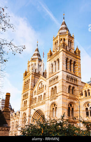 Seitenansicht des British Natural History Museum in London. Stockfoto